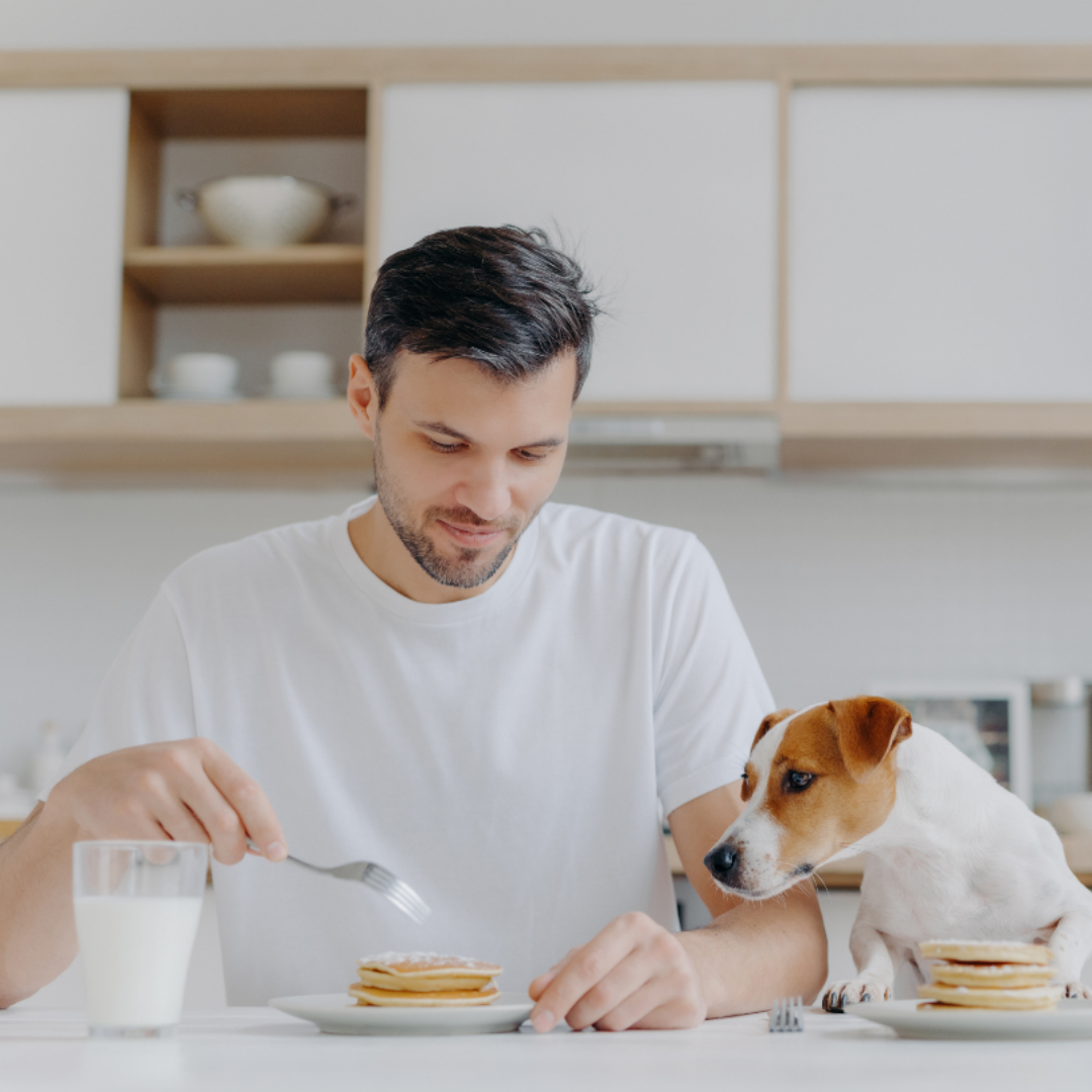 man die pannenkoek voor 1 persoon eet met hond